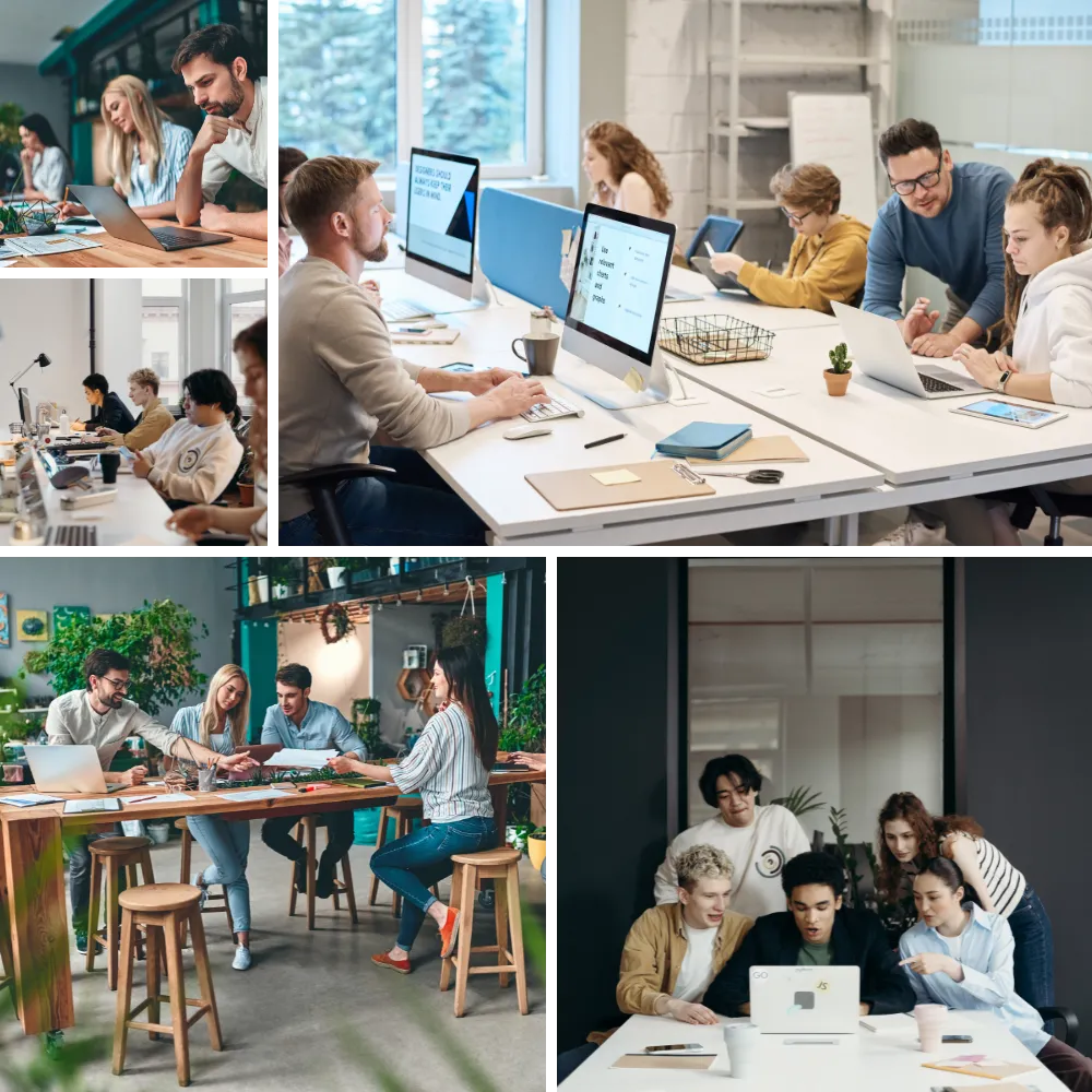POS Business Software Ecosystem